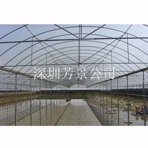 水產(chǎn)養(yǎng)殖大棚