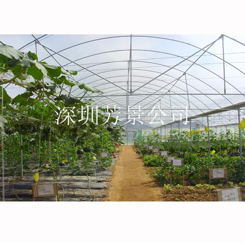 優(yōu)良品種選育大棚