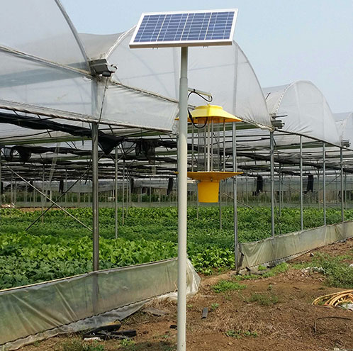 太陽(yáng)能殺蟲(chóng)燈1