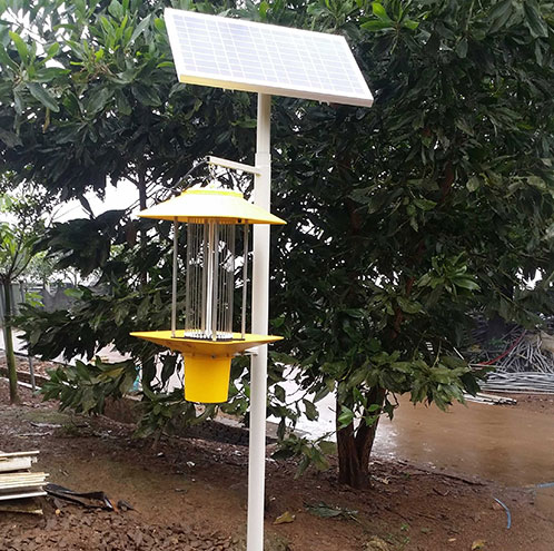 太陽(yáng)能殺蟲(chóng)燈2